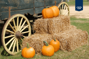 fall-events-pumpkins-hay