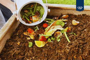 composting-food-waste