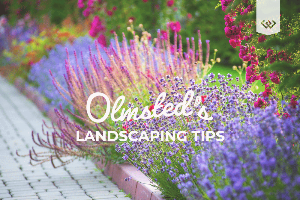 olmsteds-landscaping