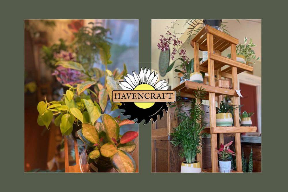 houseplants-havencraft-kingston